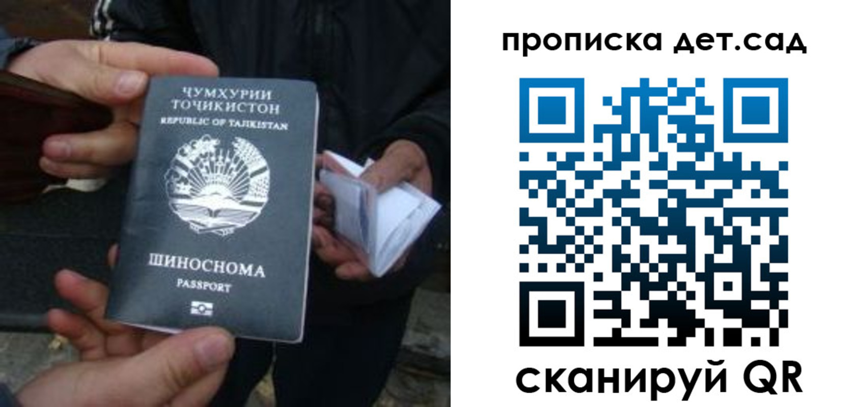 миграционный учет в Сертолово